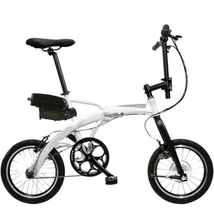 Electric Folding Bikes 2019